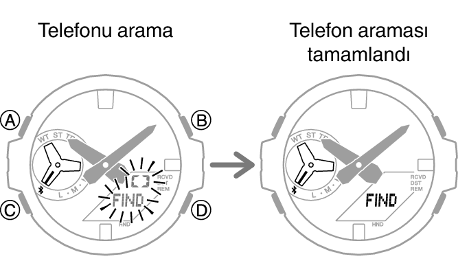 5684_fl_MobileSearch