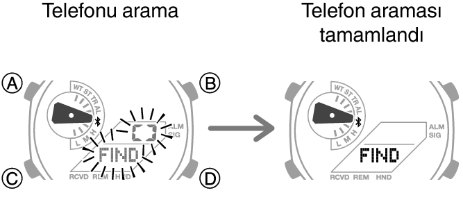 5689_fl_MobileSearch