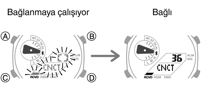 5689_fl_BLEcnct_Start_Finish
