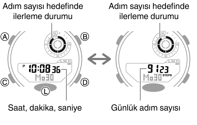 5736_46_fl_Pedometer