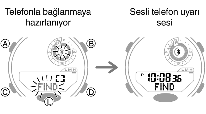 5736_fl_MobileSearch