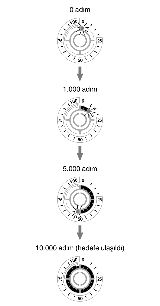 5736_fl_steps_Pedometer