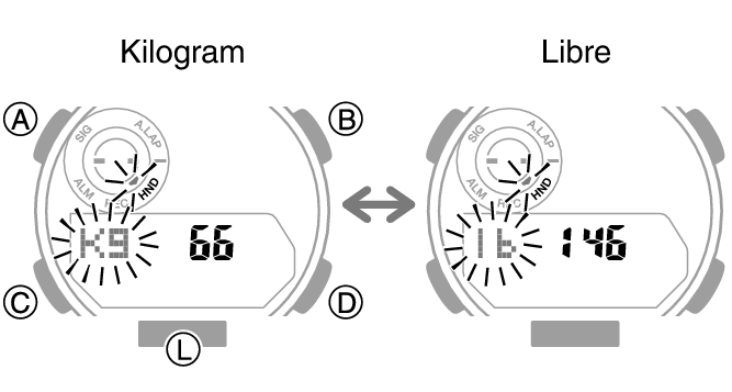 5737_02_fl_EN_Profile