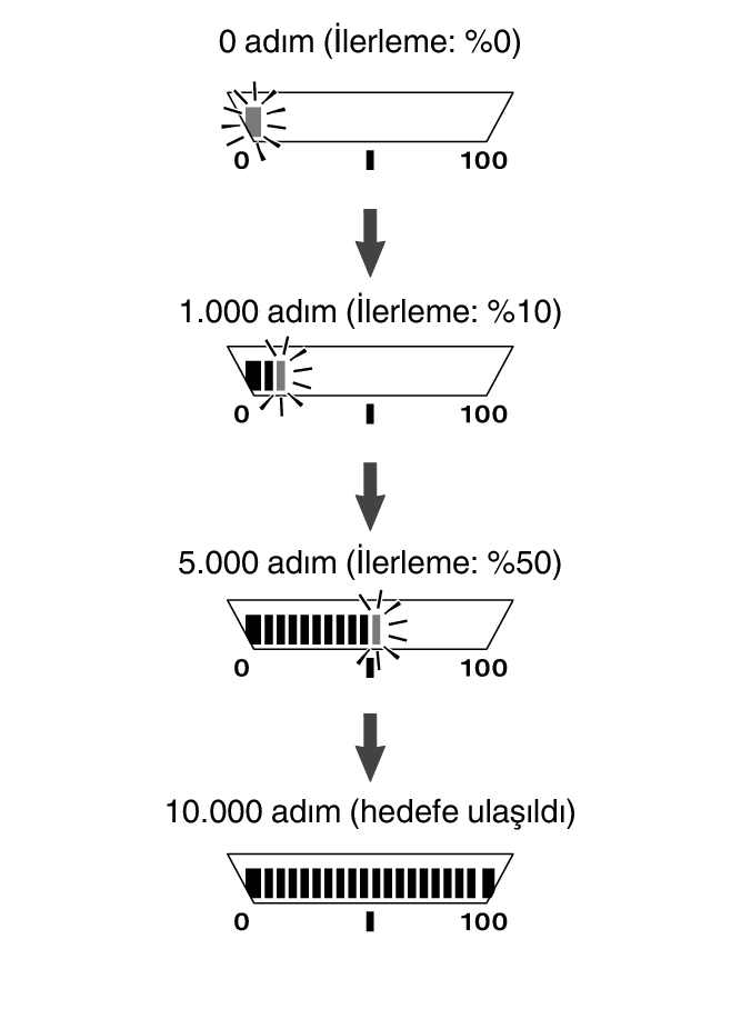 5737_fl_steps_LifeLog