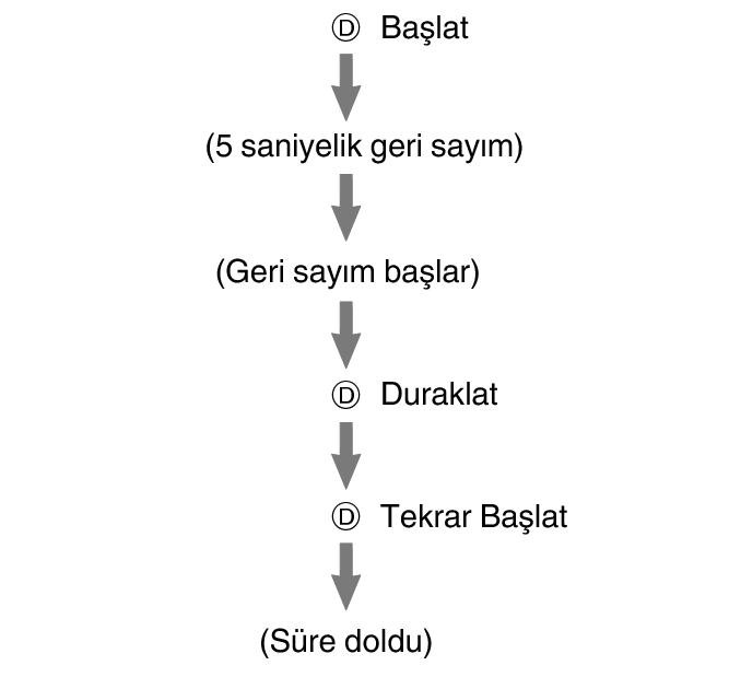 fl_stw_AutoStart_3_btn_D