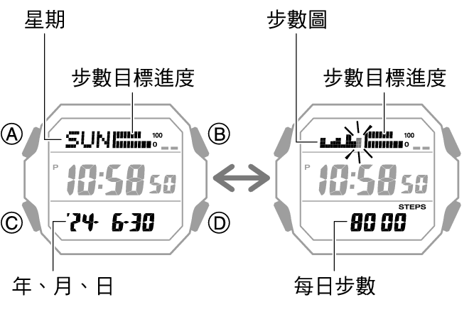 3552_47_fl_Pedometer