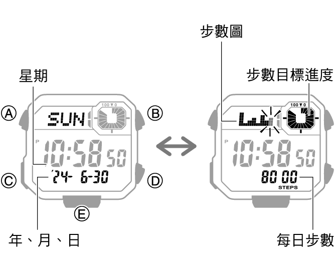 3564_44_fl_Pedometer