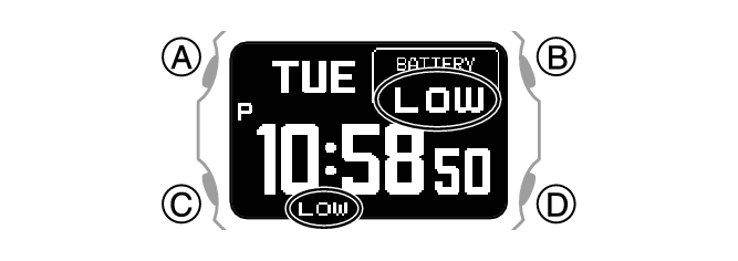 3575_06_Bat_Intro