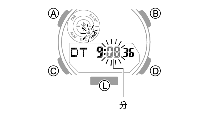 5737_31_DT