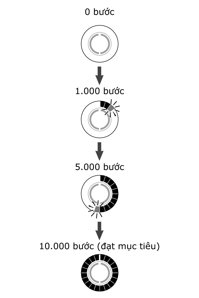 3464_fl_steps_Pedometer