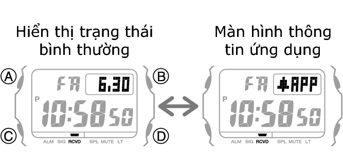 3509_05_DEX_fl_Intro