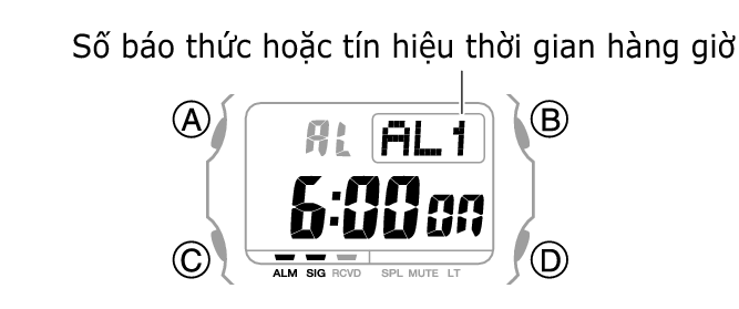 3509_28_ALM