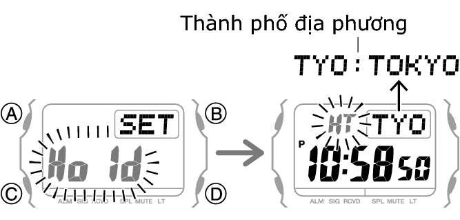 3509_fl_HT_SET_comon