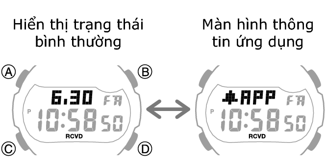 3519_05_DEX_fl_Intro