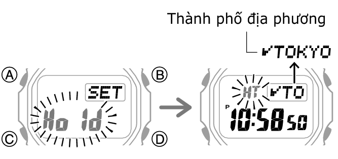 3543_fl_HT_SET_comon