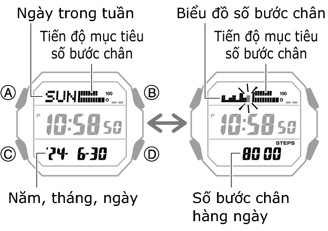 3552_47_fl_Pedometer