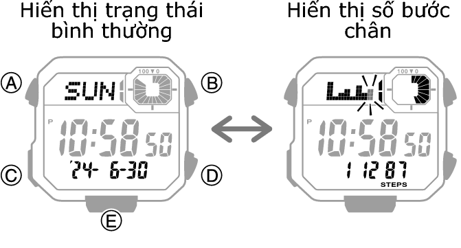 3564_08_DEX_fl_Intro