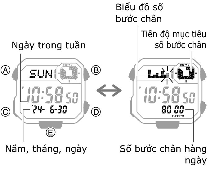 3564_44_fl_Pedometer