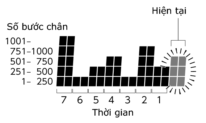 3564_Graph_Pedometer