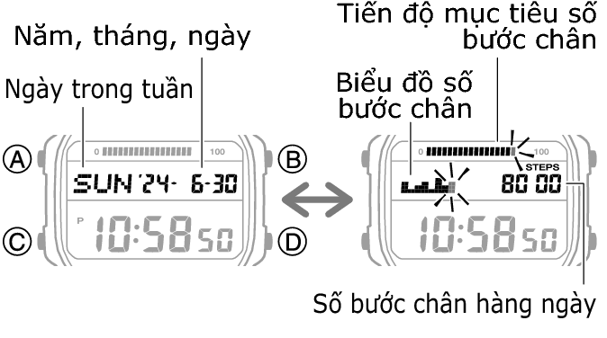 3565_47_fl_Pedometer