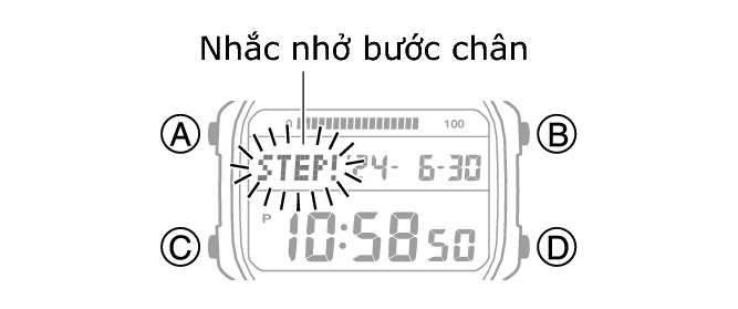 3565_51_Pedometer