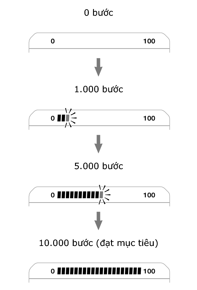 3565_fl_steps_Pedometer
