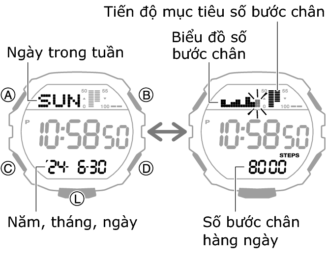 3567_66_fl_Pedometer