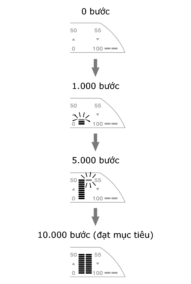 3567_fl_steps_Pedometer