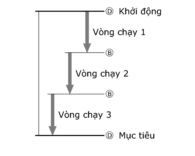 fl_stw_lap_DBBD_60per