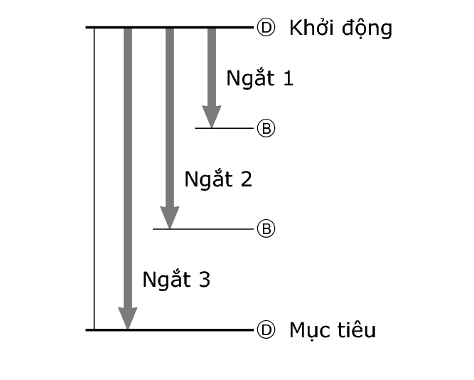 fl_stw_split_DBBD_60per