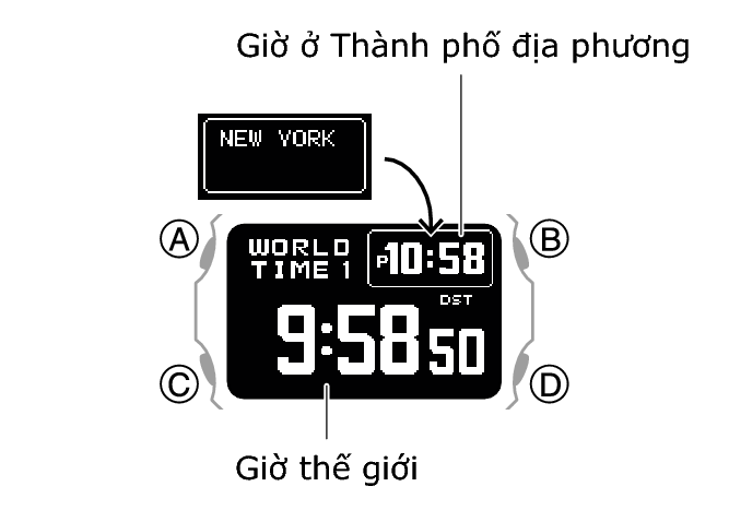 3575_20_WT