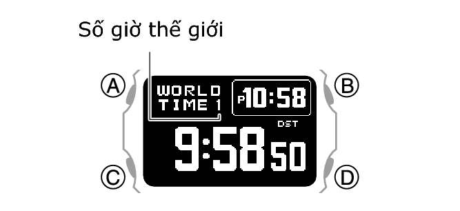 3575_21_WT