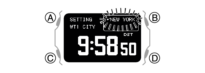 3575_22_WT