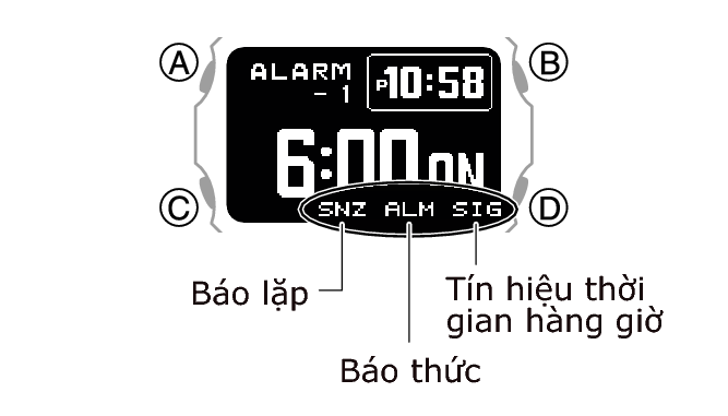 3575_32_WT