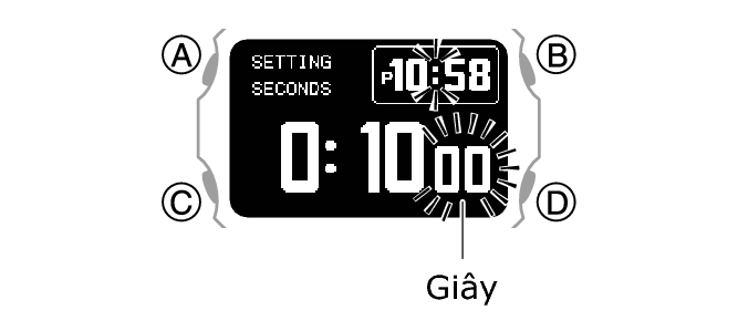 3575_37_TR