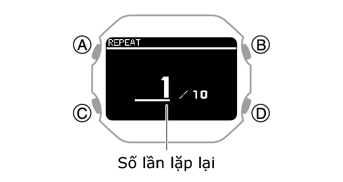 3516_081_ACT_SET