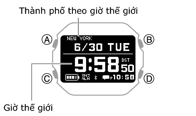 3577_060_WT