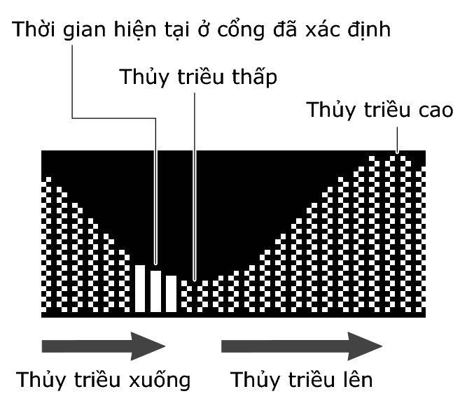 3586_TideGraph_expansion