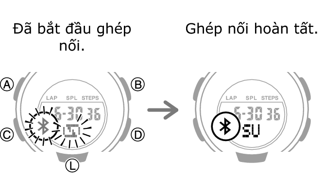 5556_fl_BLE_cone_pairing