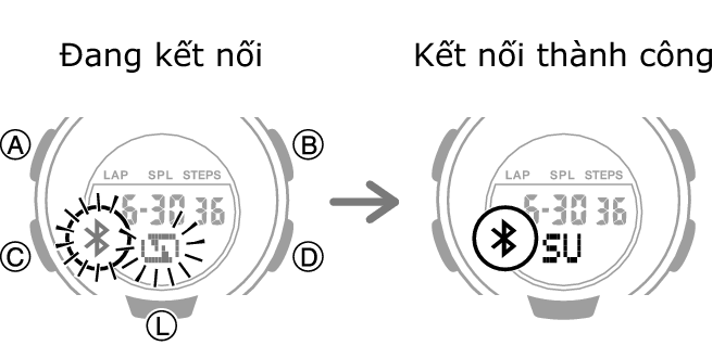 5556_fl_BLE_cone_start_after