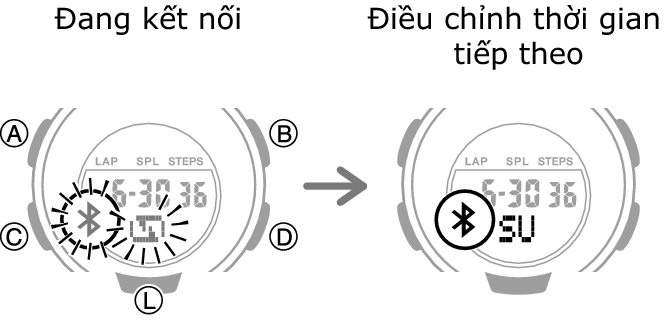 5556_fl_TM_cone_start_after