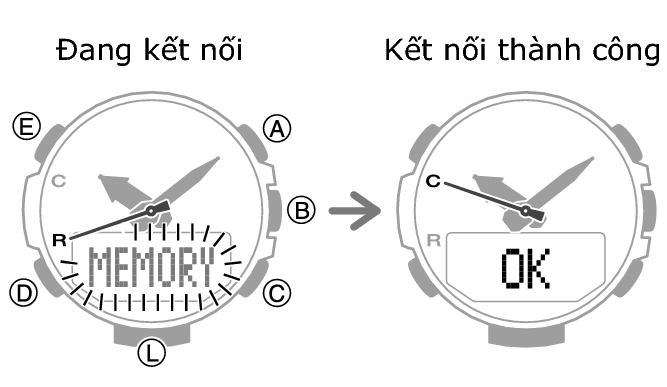 5602_33_fl_MobileLink