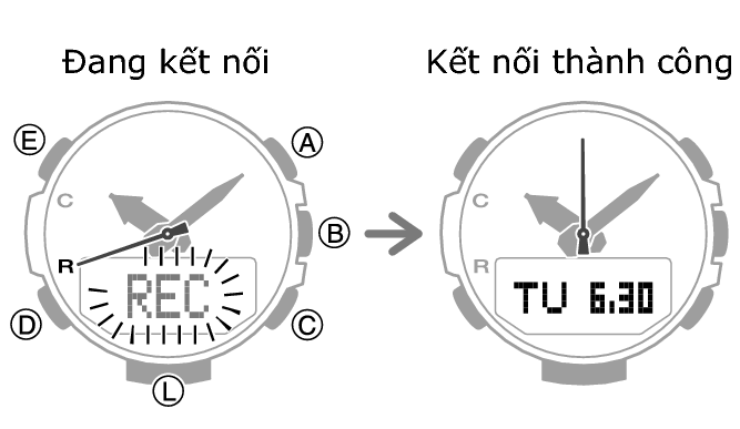 5602_36_fl_MobileLink