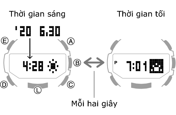 5602_72_fl_SUN_comon