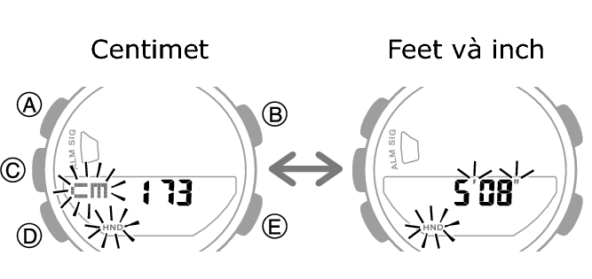 5641_69_fl_EN_Profile