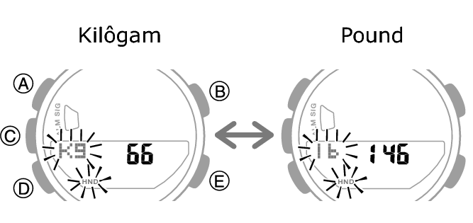 5641_70_fl_EN_Profile