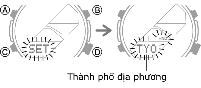 5658_fl_HT_SET_comon