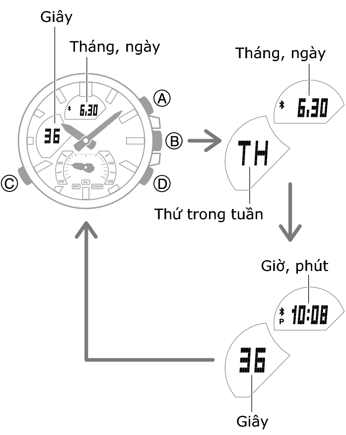 5686_07_fl_Intro
