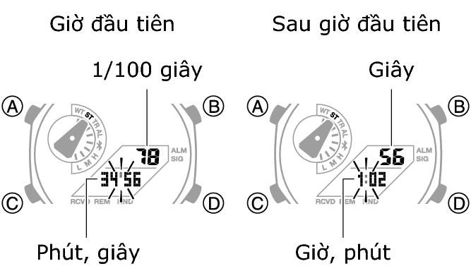 5689_36_37_ST_SPL_comon