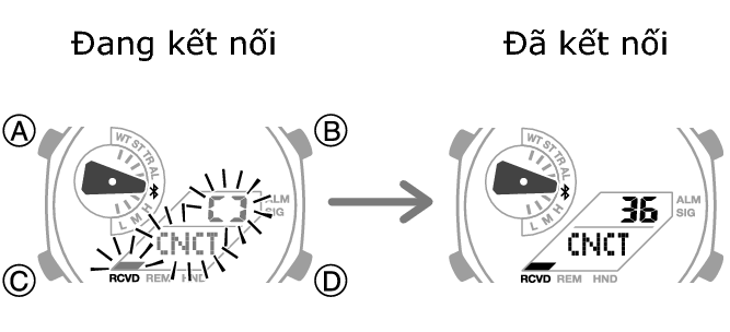 5689_fl_BLEcnct_Start_Finish